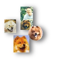 These Chows were all formerly rescued dogs!